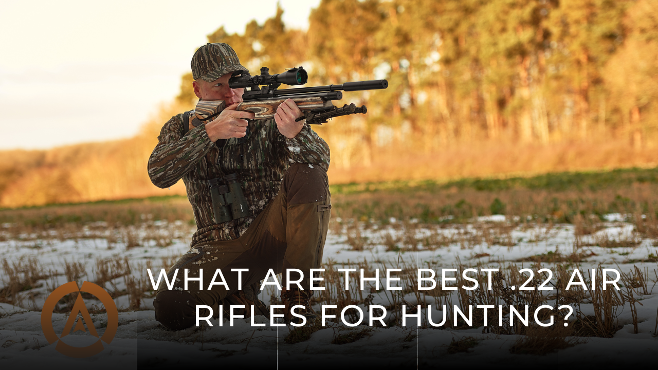 What are the best .22 air rifles for hunting?